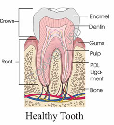 healthytooth