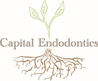 Capital Endodontics Logo